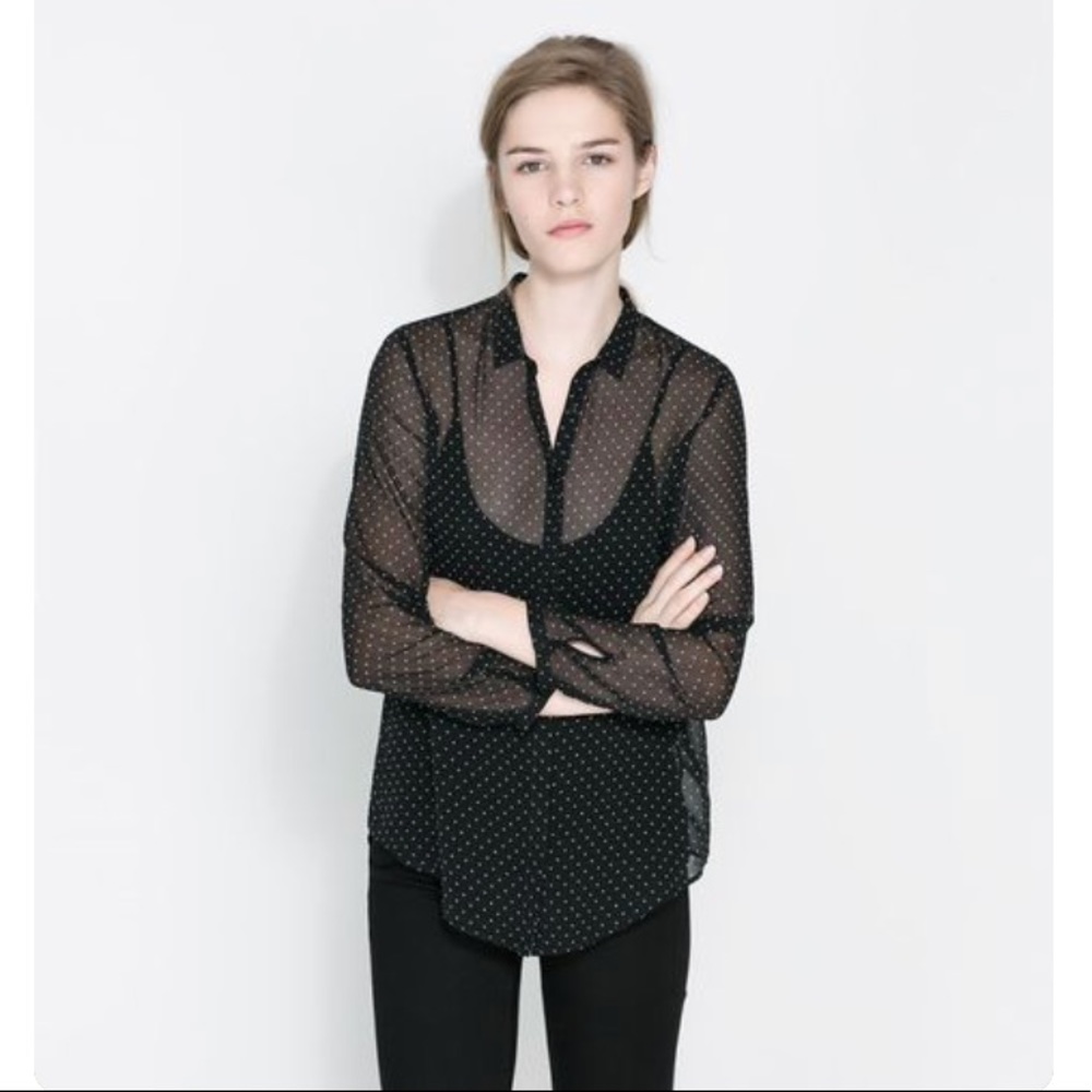 Zara Sheer Polka Dot Blouse